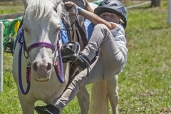 Clancey Whyman (4) of Mogilla - mounts her horse Crispy Cream at the Candelo Show.